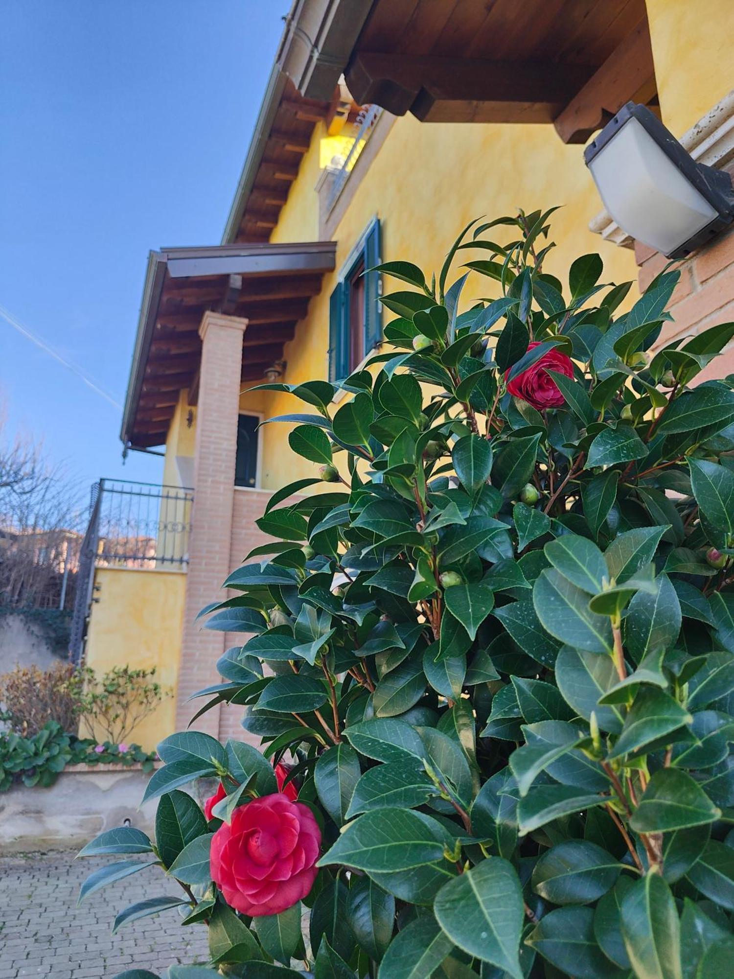 B&B Camera Delle Camelie Palestrina Εξωτερικό φωτογραφία