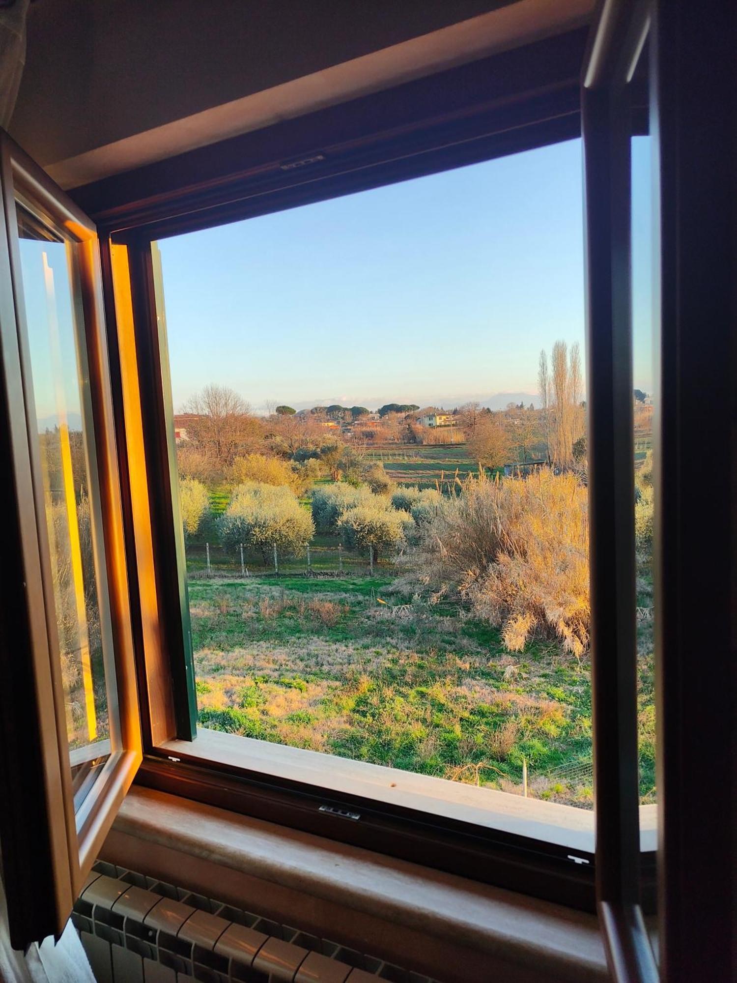 B&B Camera Delle Camelie Palestrina Εξωτερικό φωτογραφία